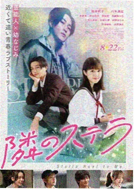 猫女 美国 2004